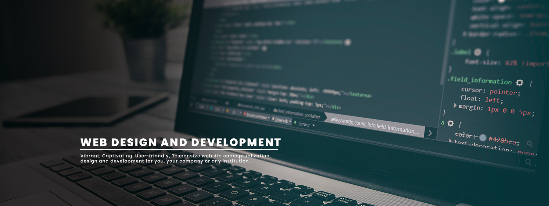 web-design-and-development